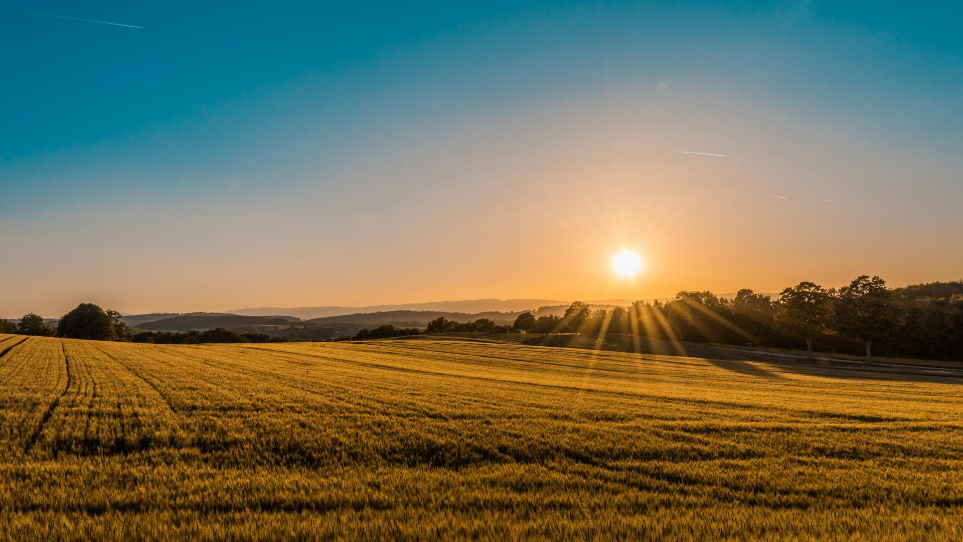 Ville verte avec bâtiments écologiques et végétation abondante